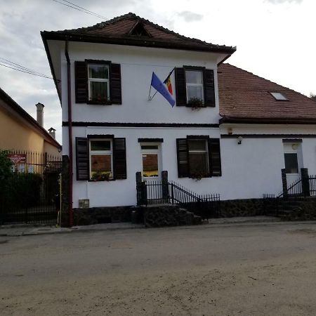 Pensiunea Liana Nemes Kültér fotó