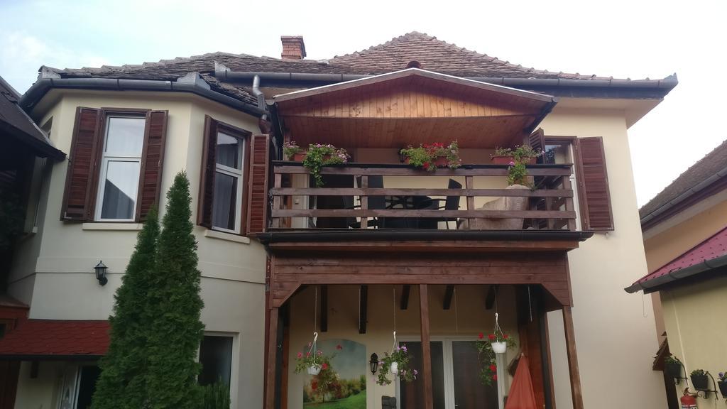 Pensiunea Liana Nemes Kültér fotó