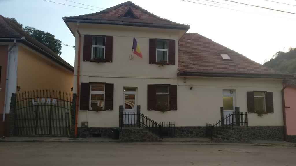Pensiunea Liana Nemes Kültér fotó