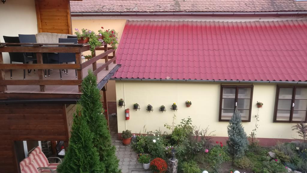 Pensiunea Liana Nemes Kültér fotó