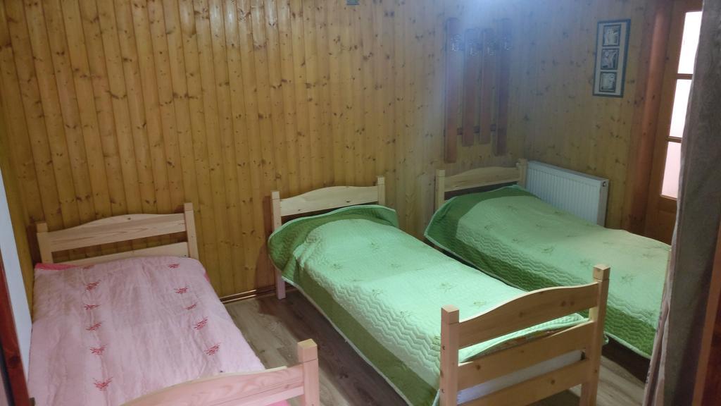 Pensiunea Liana Nemes Kültér fotó