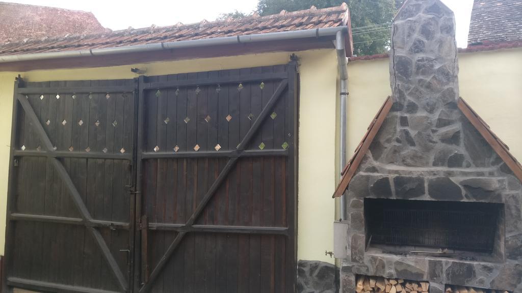 Pensiunea Liana Nemes Kültér fotó