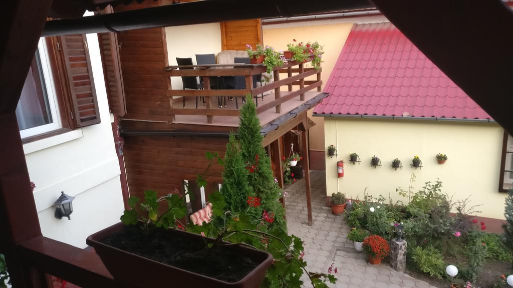 Pensiunea Liana Nemes Kültér fotó