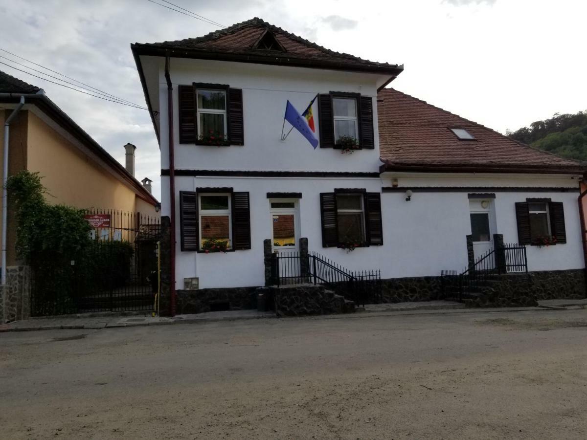 Pensiunea Liana Nemes Kültér fotó