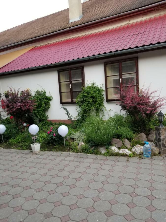 Pensiunea Liana Nemes Kültér fotó