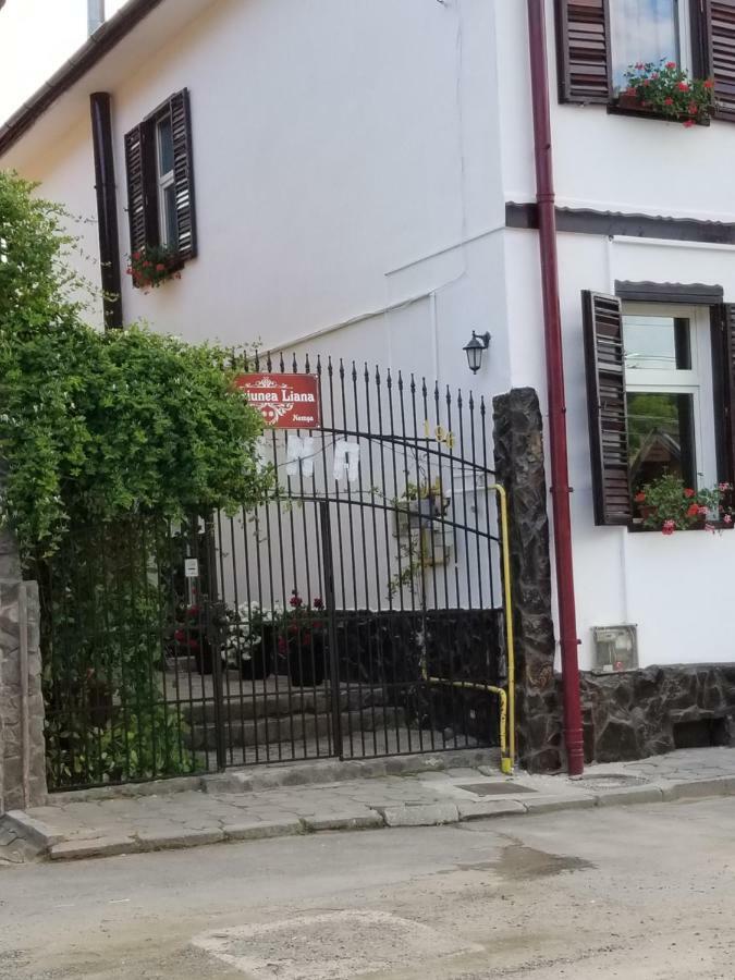 Pensiunea Liana Nemes Kültér fotó