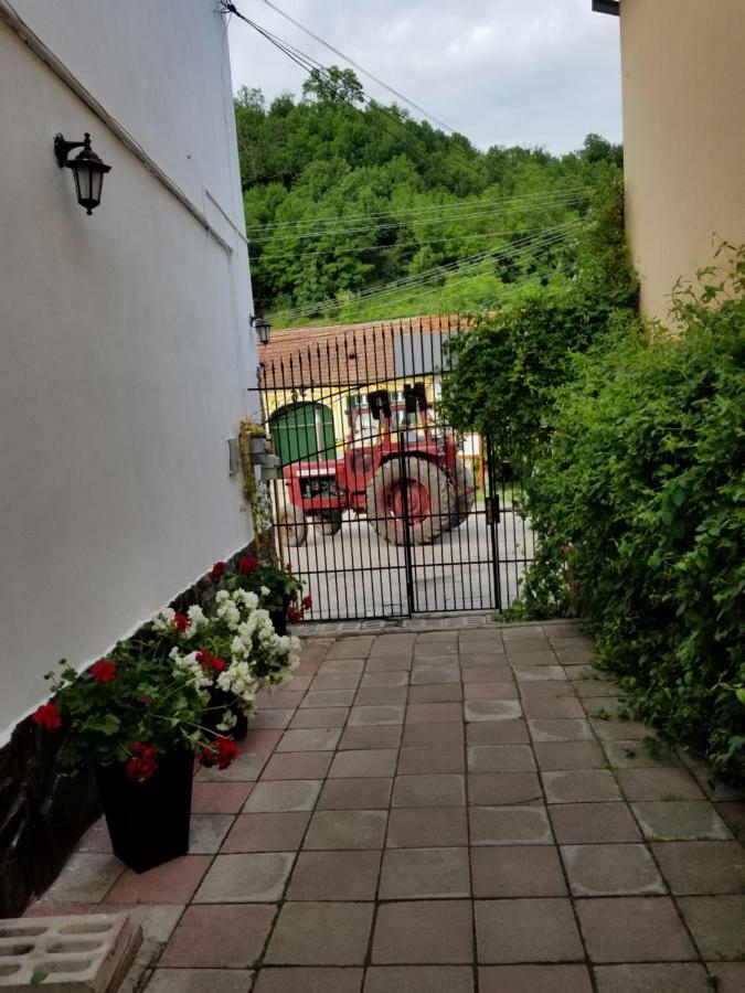 Pensiunea Liana Nemes Kültér fotó